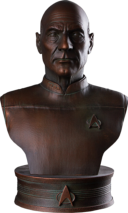 Star Trek Gifts For Adults 